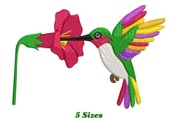 Beautiful Hummingbird Embroidery Review